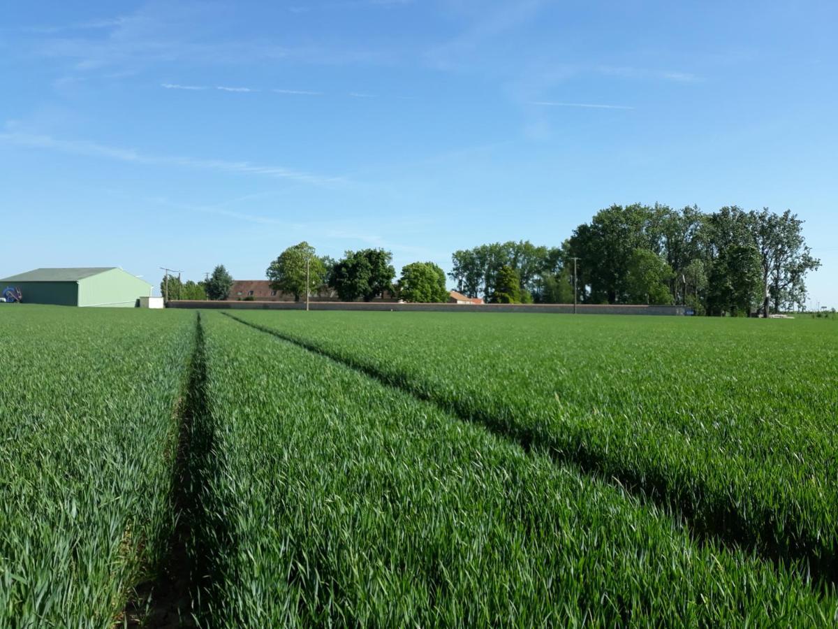 Ferme De Mesangeon Villa Beauvilliers  Exterior photo